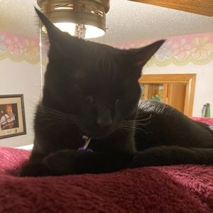 Meet your Posher, Kayla moreno